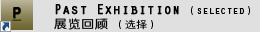 P logo